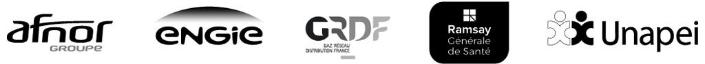 logo Afnor, logo Engie, logo GRDF, logo Ramsay générale de santé, logo Unapei